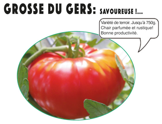 grosse du gers