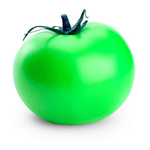 tomato verte 