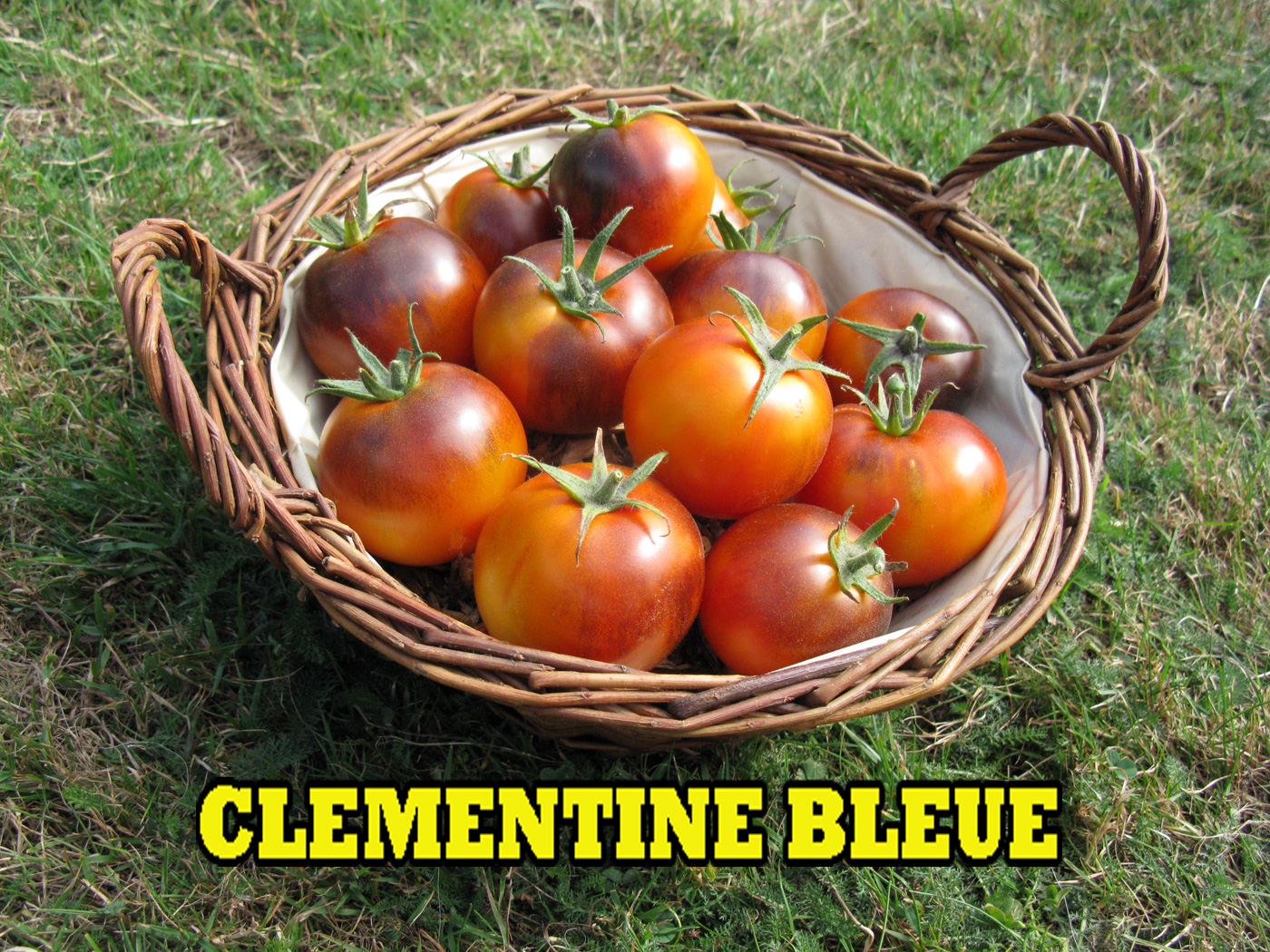 clementine