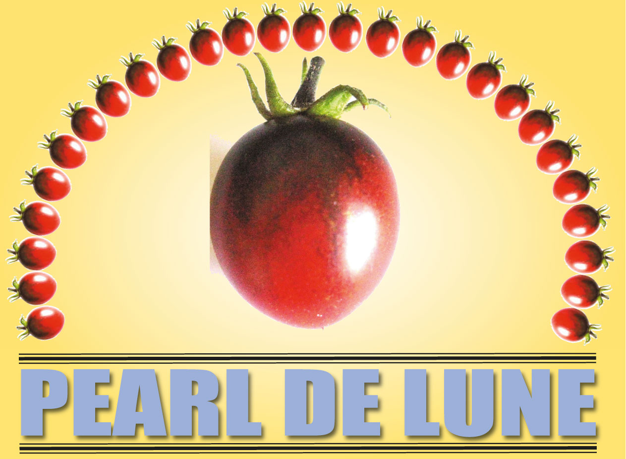 pearl de lune