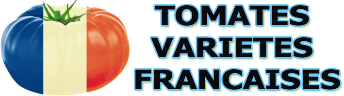 tomates varits francaises