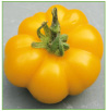 Super Marmande Jaune