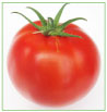 Tomate de Riez